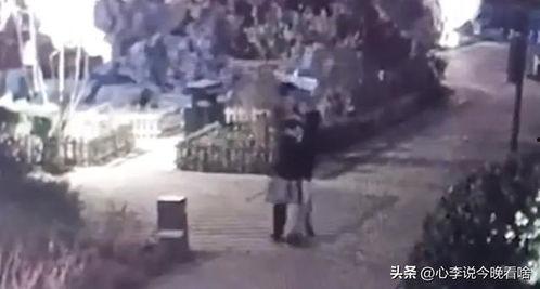 陇南吃瓜事件视频完整版,一场引发热议的网络风波全纪录