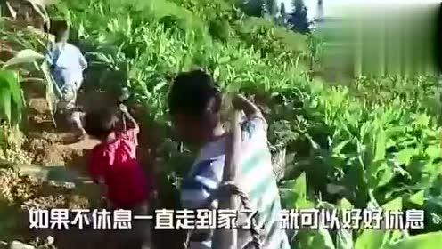 陇南吃瓜事件视频完整版,一场引发热议的网络风波全纪录