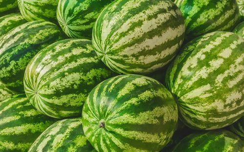 福州王庄吃瓜事件,一场引发热议的社区冲突