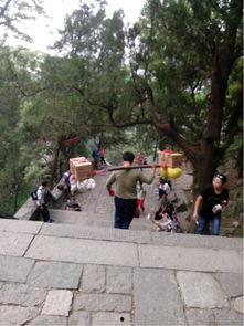 红石公园吃瓜事件视频大全,视频大全揭秘惊人真相