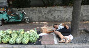 砀山文庄吃瓜事件真相