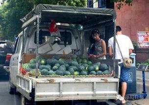 邵阳吃瓜最新事件,揭秘网络热议背后的真相