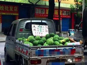 邵阳吃瓜最新事件,揭秘网络热议背后的真相