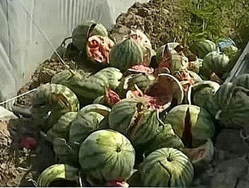 温州瑞安吃瓜事件真相揭秘,真相大白，还原事件始末