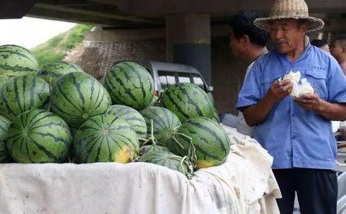 郯城幼儿园事件吃瓜,揭开儿童安全与监管的隐忧