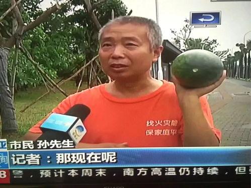 稠州吃瓜群众事件视频,一场网络舆论的风暴与反思