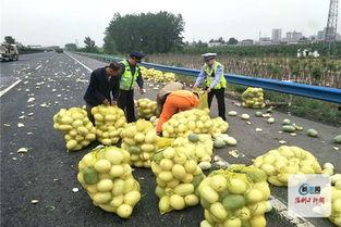 河南新郑吃瓜事件视频,一场网络热议的真相追踪