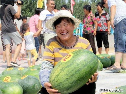 禹城网红吃瓜事件,揭秘网络舆论的风暴与真相