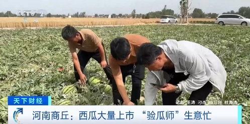 定远教师吃瓜事件视频,一场校园风波引发的思考