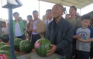 西宁最新吃瓜群众事件,网络热议背后的真相与反思