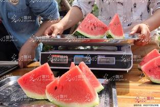 山东吃瓜最新办公司事件,揭秘神秘政府机构背后的真相