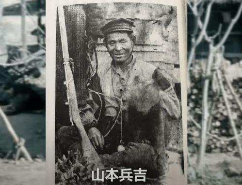 井陉吃瓜事件始末,一场网络热议背后的真相与反思