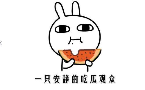 唐山吃瓜事件是什么意思,一场引发社会热议的网络风波揭秘