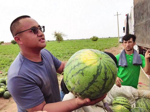 吉林吃瓜最新事件新闻,揭秘背后真相与网络舆论风暴