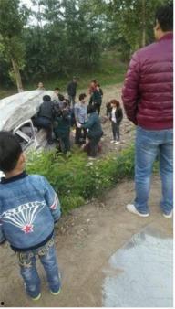 任县吃瓜最新事件视频,揭秘当地最新热点视频背后的真相