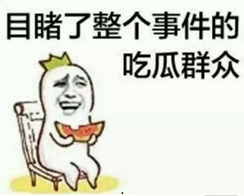 郑州吃瓜群众小强事件始末,一场网络舆论的风波与反思