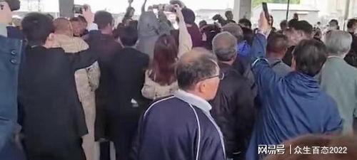 郑州吃瓜群众小强事件始末,一场网络舆论的风波与反思