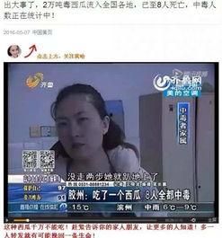 龙岩万宝吃瓜事件,一场网络热议背后的真相揭秘