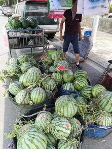 洛阳大姐吃瓜事件,一场网络热议的社区生活缩影