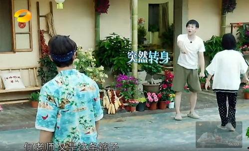 长清吃瓜群众事件真相,真相与反思