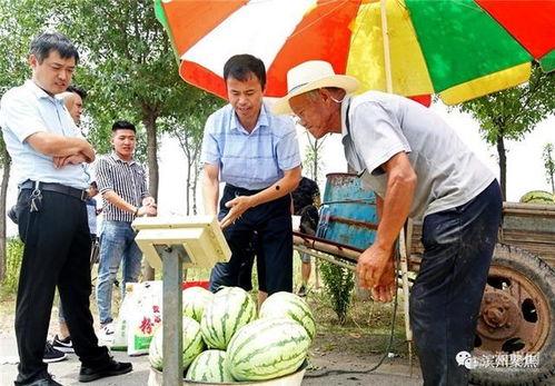 武陟县吃瓜事件的社会反响,社会舆论反响与反思