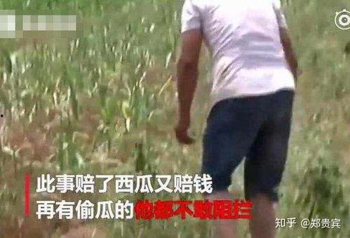 社会风气吃瓜事件,揭秘网络舆论的狂欢与反思
